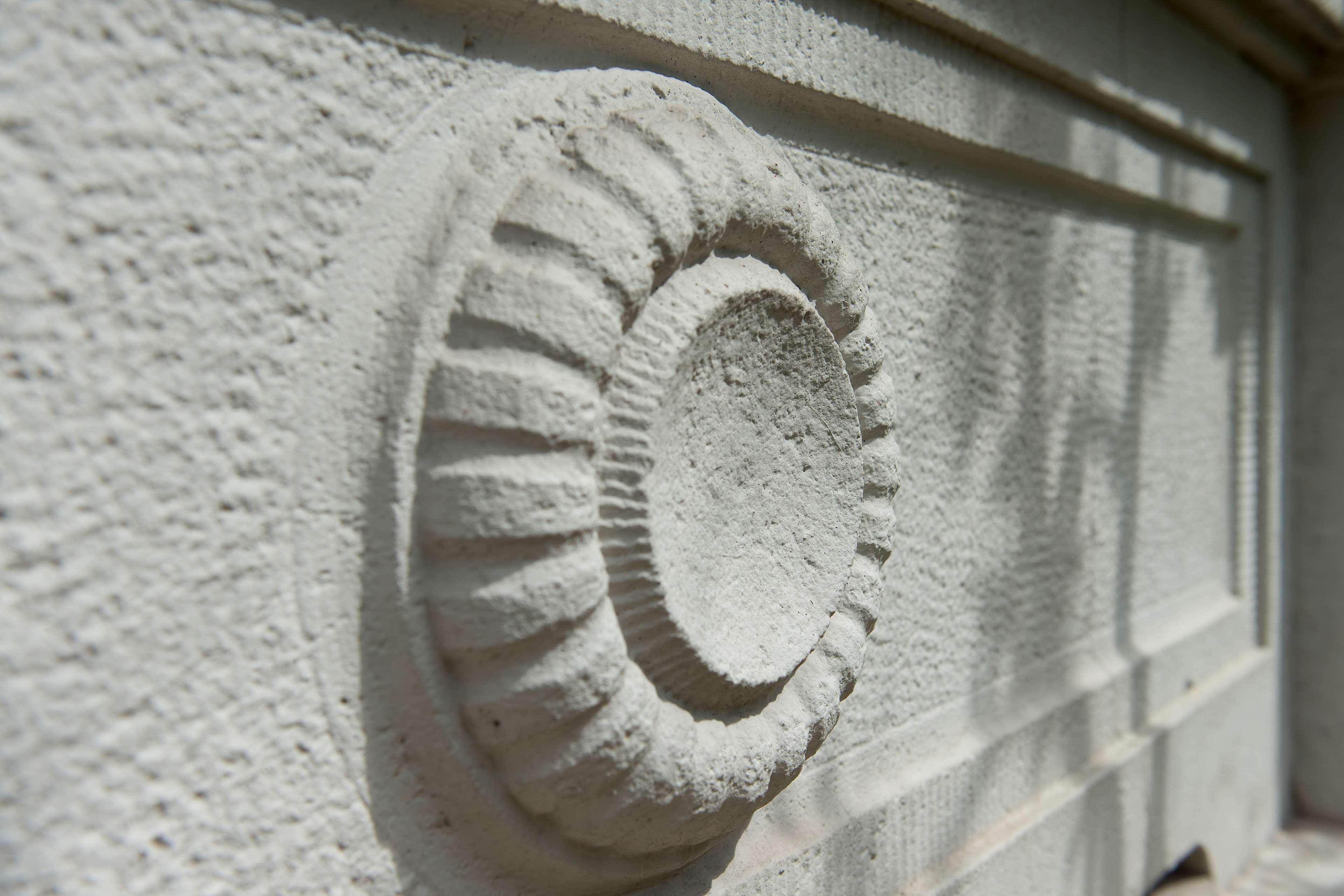 Badischer Hof Baden-Baden - Leonardo Limited Edition Kültér fotó A cast of a fossil of the Late Cretaceous ammonoid cephalopod Trachyteutis